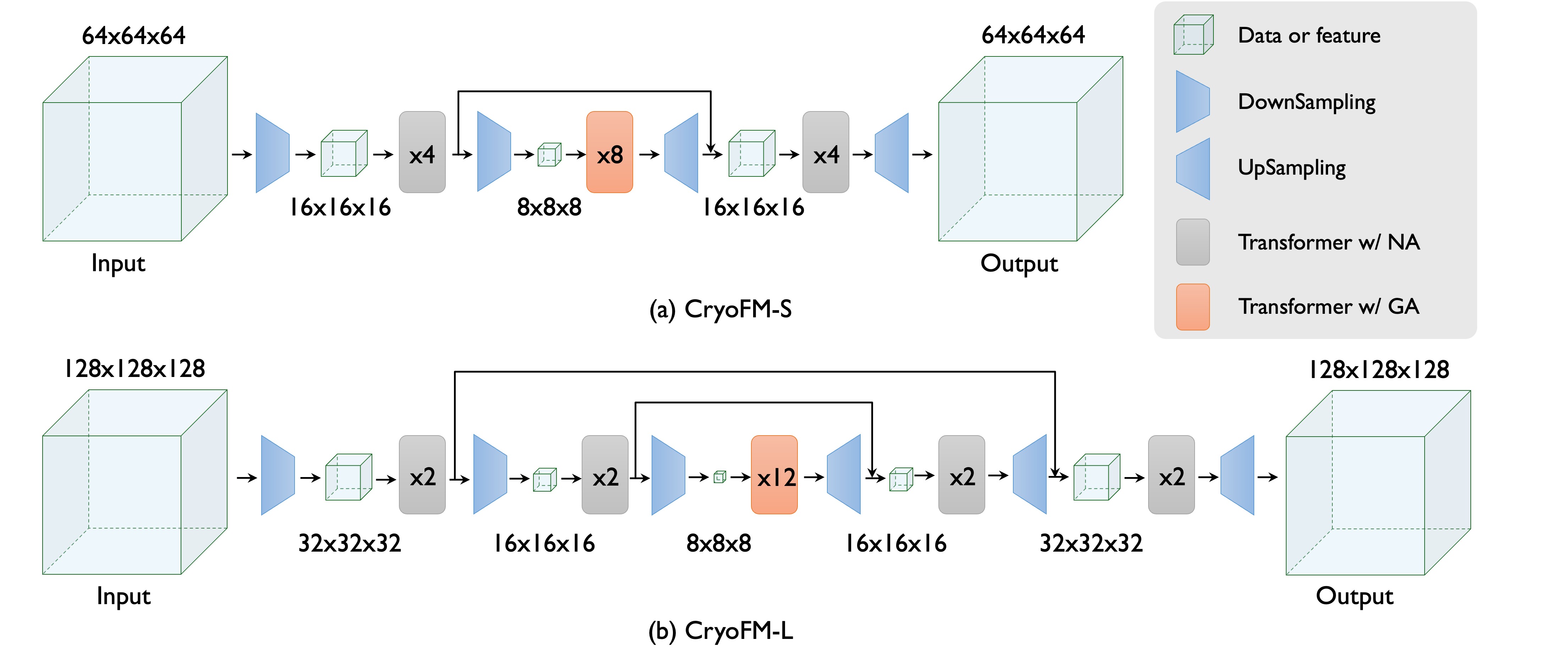 CryoFM Architecture