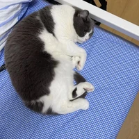 Hao Wang's profile picture