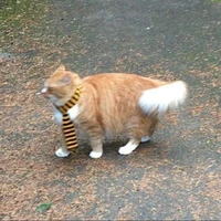 Peeranat Buabang's profile picture