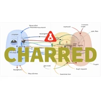 CHARRED's profile picture