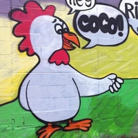 Bernie Wang's profile picture