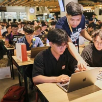 Andrew Le's profile picture