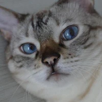 SeongUk Han's profile picture