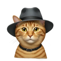 feizhengcong's profile picture