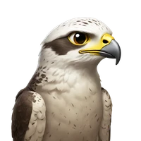 Angela Tsao's profile picture