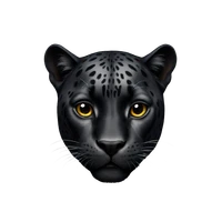 Taha Pankhawala's profile picture