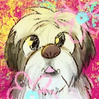 John Gouwar's profile picture