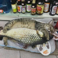 jiachengzhu's profile picture