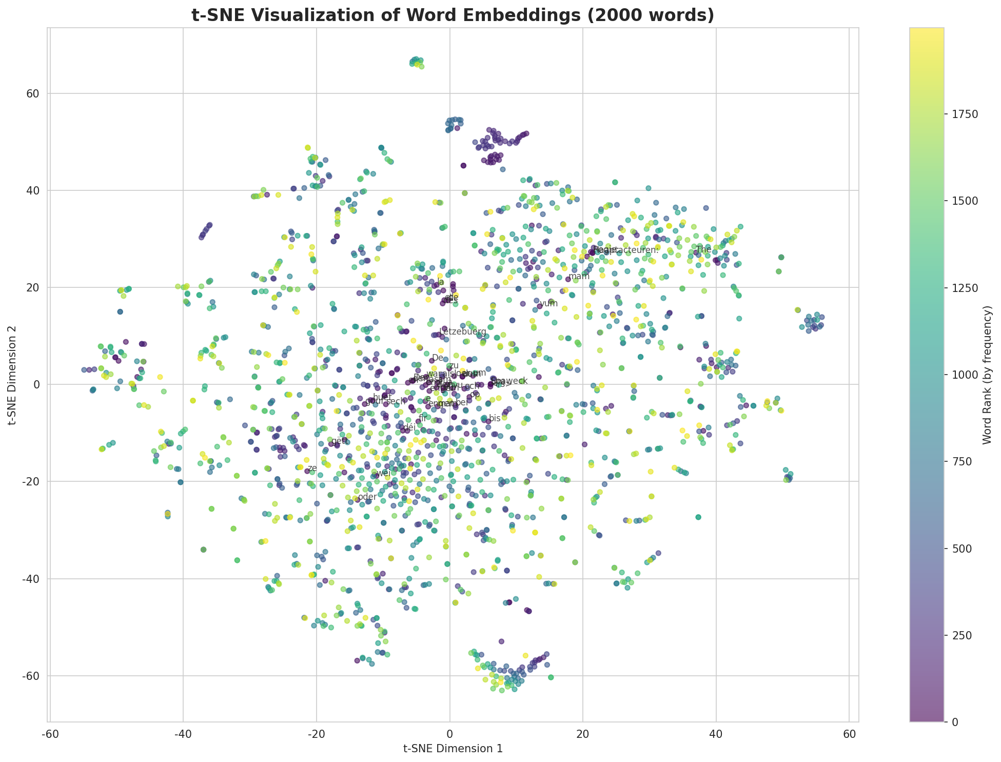 t-SNE Words