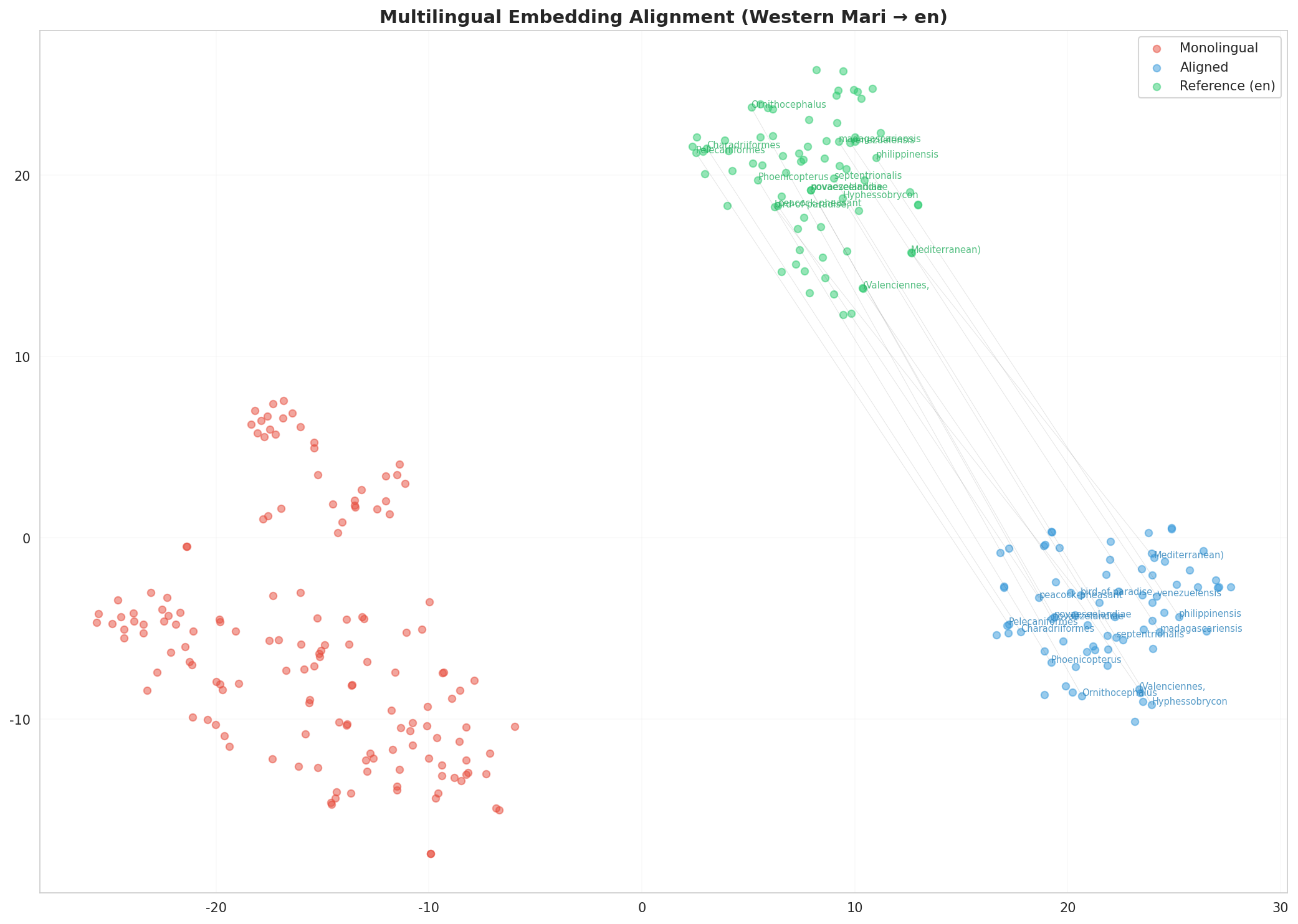 Multilingual t-SNE